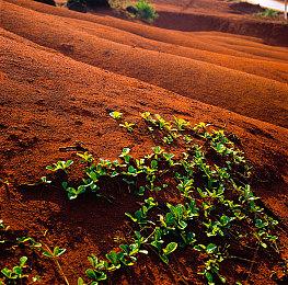 微软与LG合作 计划向联网车内搭载Xbox Cloud Gaming